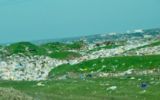 img_news