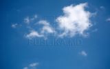 img_news